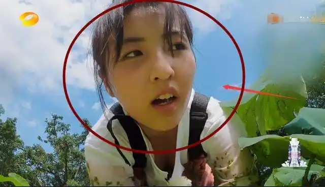 张子枫领口太低弯腰挖藕一瞬被截图看清后男粉太小了