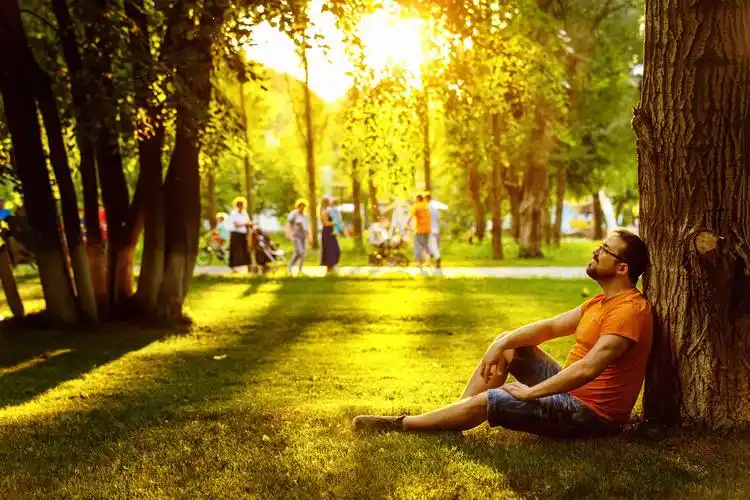 高兴,思想,白日梦,男人,坐,青草,公园,晴朗,夏天,看,概念,放松,健康