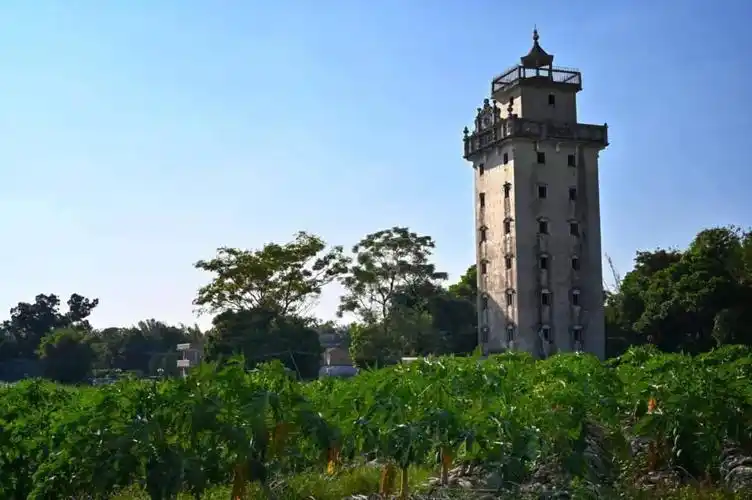 看江门台山市四九镇风采的芦荟庄园 观花海,品驿站,赏碉楼, 江门房产