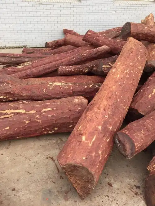 张家港供应非洲血檀精品高油高密血檀原木一手货源价格合理