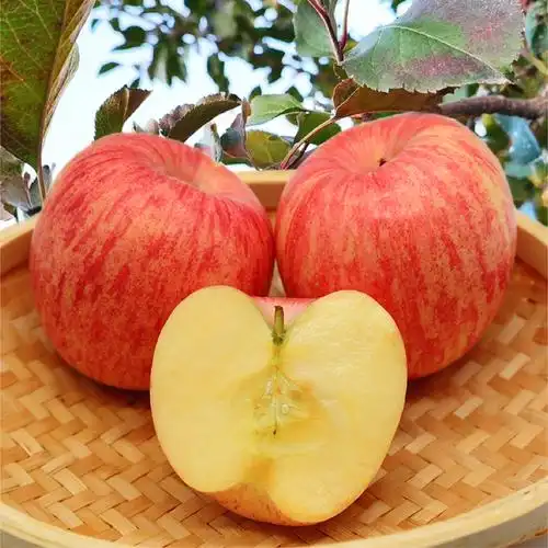 烟台红富士苹果水果新鲜栖霞脆甜一级当季整箱山东带箱约5斤包邮