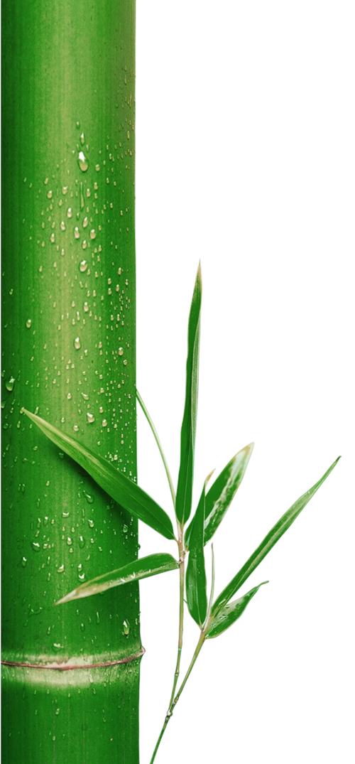 水滴绿色图片大全