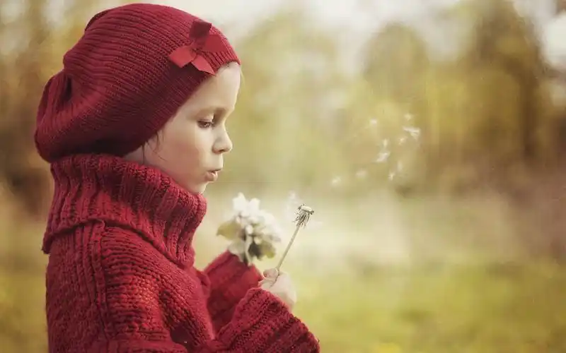 壁纸 可爱的女孩玩蒲公英 1920x1200 hd 高清壁纸, 图片, 照片