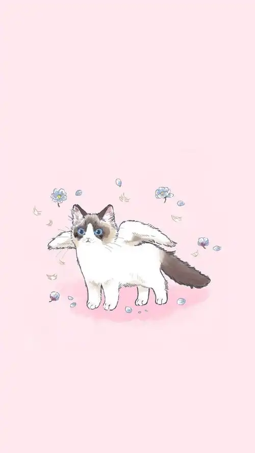 猫咪卡通插画壁纸zt
