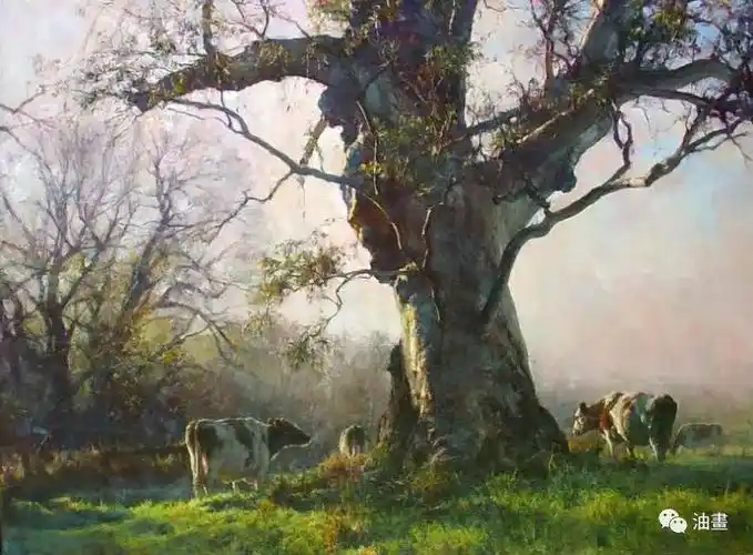 澳大利亚画家的风景油画,真美!