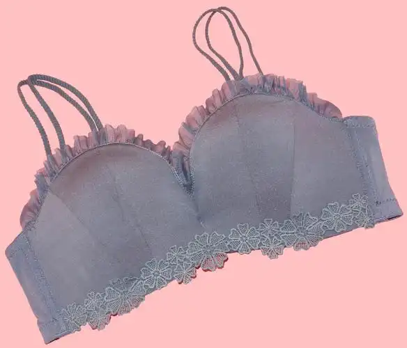 外观设计文胸(055)