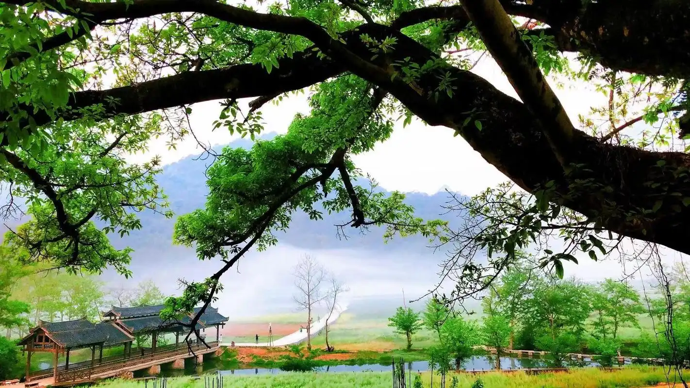 有一种叫云南的生活|生活在悠然自得的坝美是什么体验?