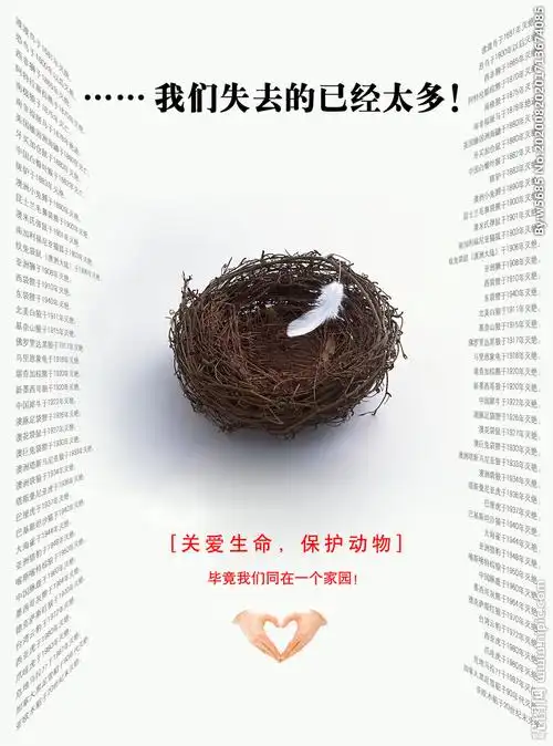 关爱生命保护动物图片