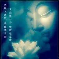 一花一世界一叶一菩提微信头像点击鼠标右键下载