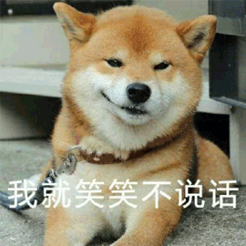 我就笑笑不说话柴犬搞怪逗gif动图_动态图_表情包下载_soogif