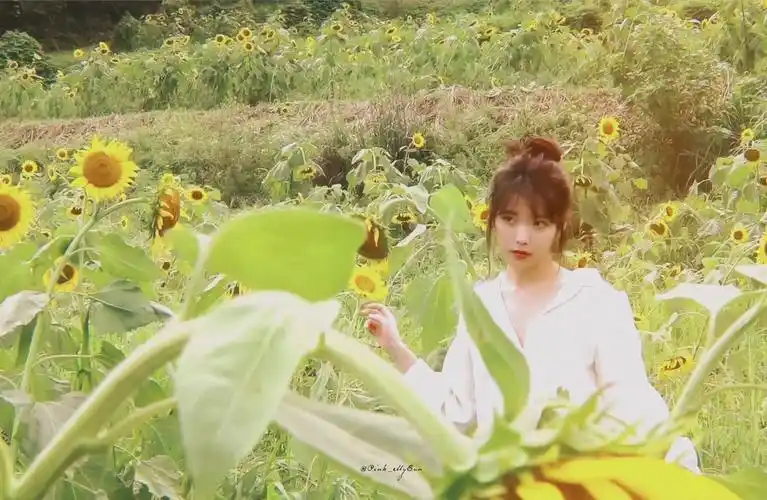 你觉得iu(李知恩)哪张图最适合做头像? - 知乎