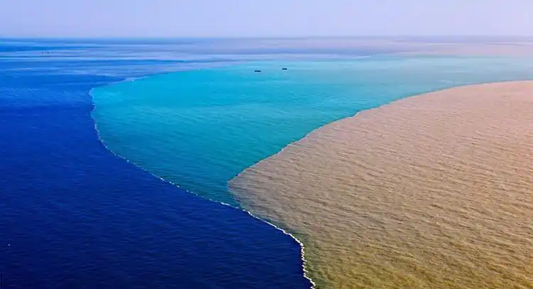 【转载】令人叹为观止的黄河口唯美风光