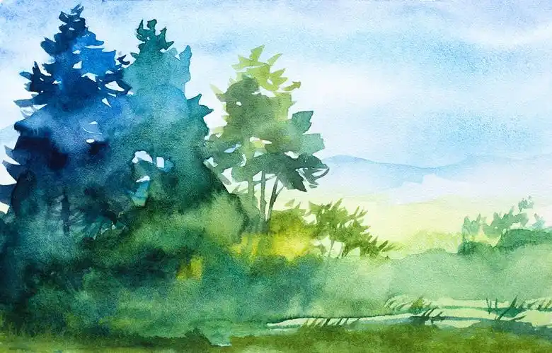 水彩,林地,插画