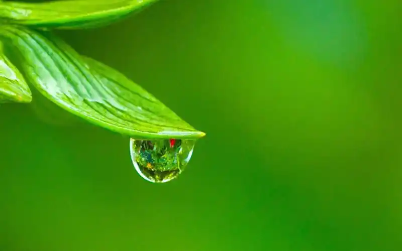 爱眼护眼始于心,科学用眼践于行——玉环市楚门育才小学小学保护眼睛