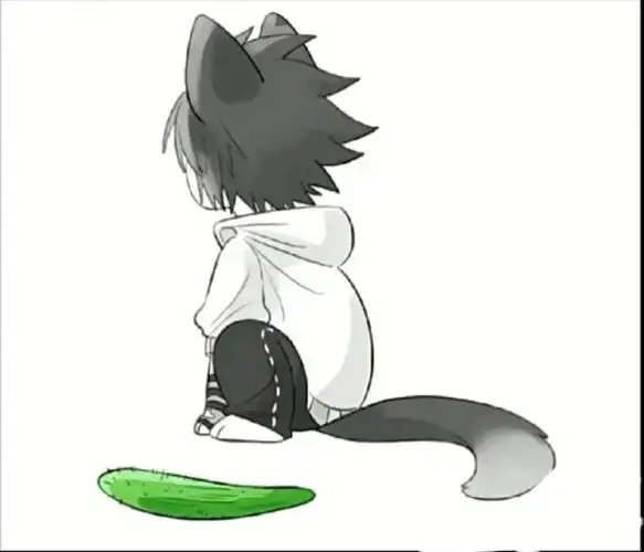 快来摸雷大猫猫