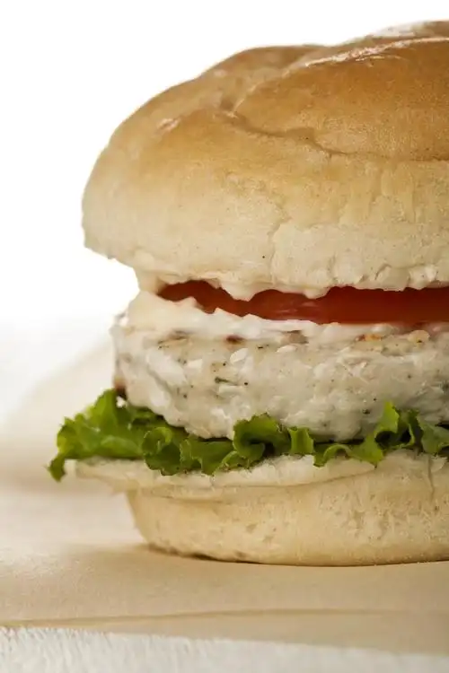 裁剪的鸡肉汉堡,裁剪与番茄, 生菜和蛋黄酱美味鸡肉汉堡射击