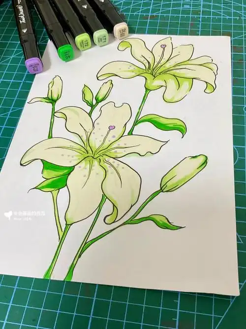 361172号作为枝叶以及花瓣的晕染46146 171作为暗部颜色#马克笔