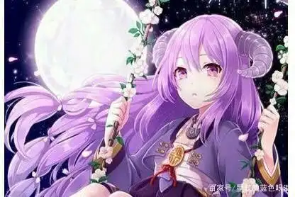 摩羯座|白羊座|水瓶座|射手座_网易订阅