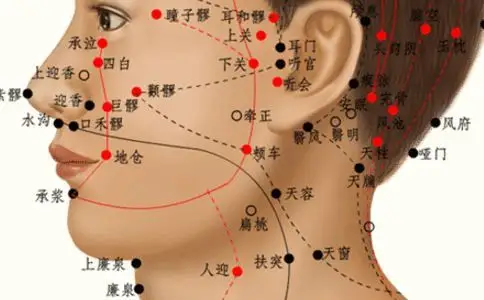 颊车穴位的准确位置图