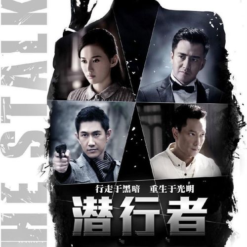 经典谍战剧【潜行者】主演翟天临,江铠同,谢祖武电视剧碟片dvd