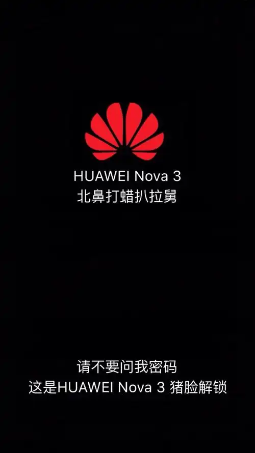 华为logo壁纸 - 华为nova3/3i应用资源 花粉俱乐部