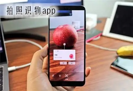 拍照识物