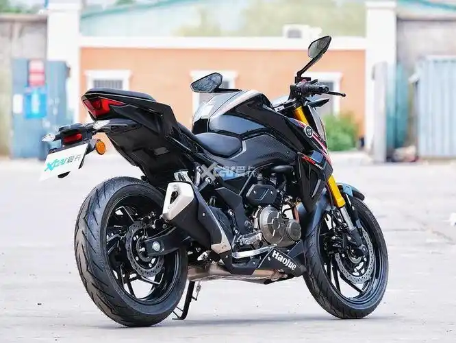 没有铃木标反而更贵了豪爵dr300实拍