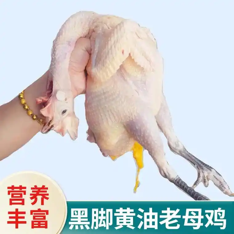 散养土鸡黑脚鸡土凤 - 抖音