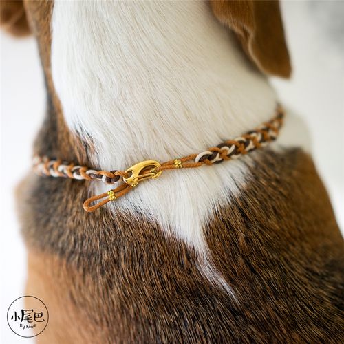 狗狗白猪商店小尾巴手工编织定制项圈黄铜狗牌挂饰