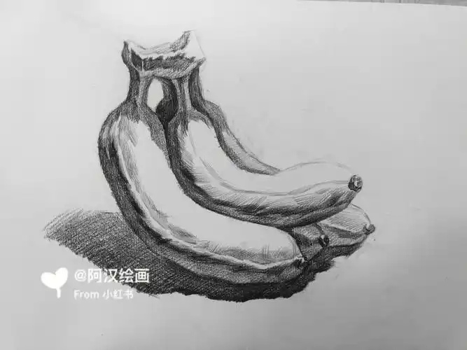 素描静物单个香蕉