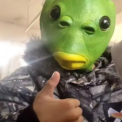绿鱼头面具是什么梗