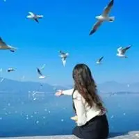 青春头像毕业季阳光背影女生微信背影头像大全