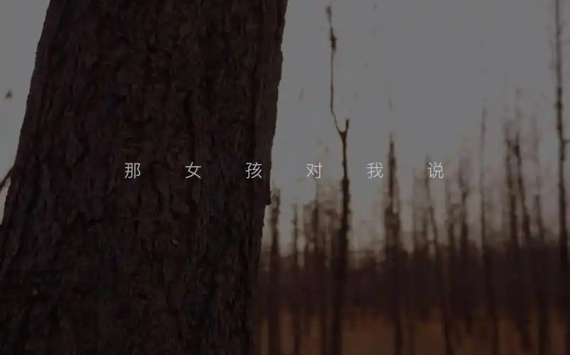 那女孩对我说整个视频就封面还不错了哈哈哈