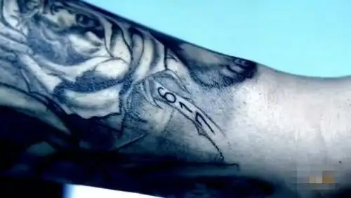 《越狱》男主角迈克纹身解析