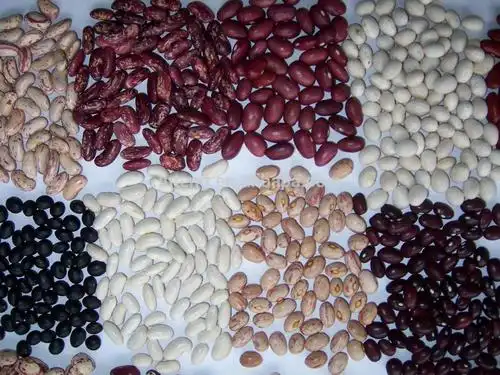 2014 chinese red kidney bean with cheap price