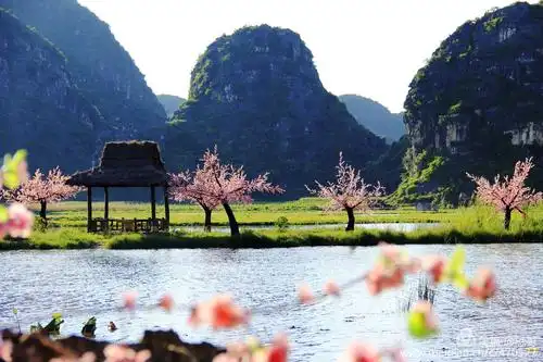 三生三世十里桃花源