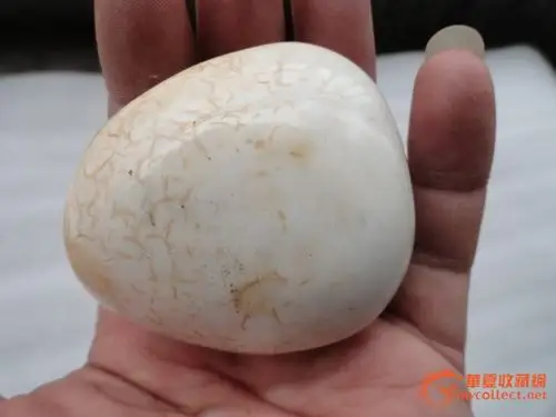 玛瑙种少见品种之鸡骨白玛瑙石二块