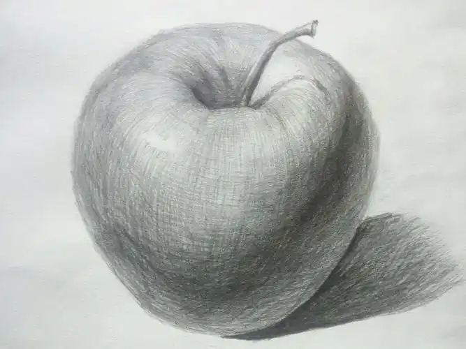 单体苹果素描