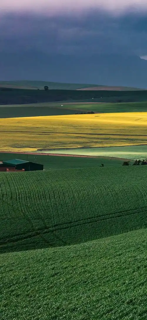 壁纸清新简约风景图那些好看的都值得记录