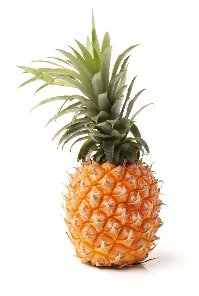 菠萝,白色背景的菠萝