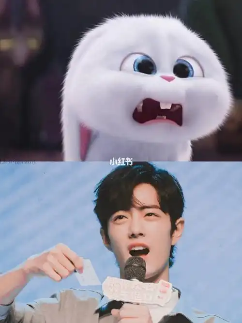 肖战到底有多想兔子_兔子_肖战_影视_明星娱乐资讯