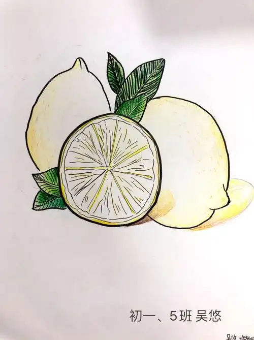 方寸之间,纸上芳华——初一年级学生美术作品欣赏