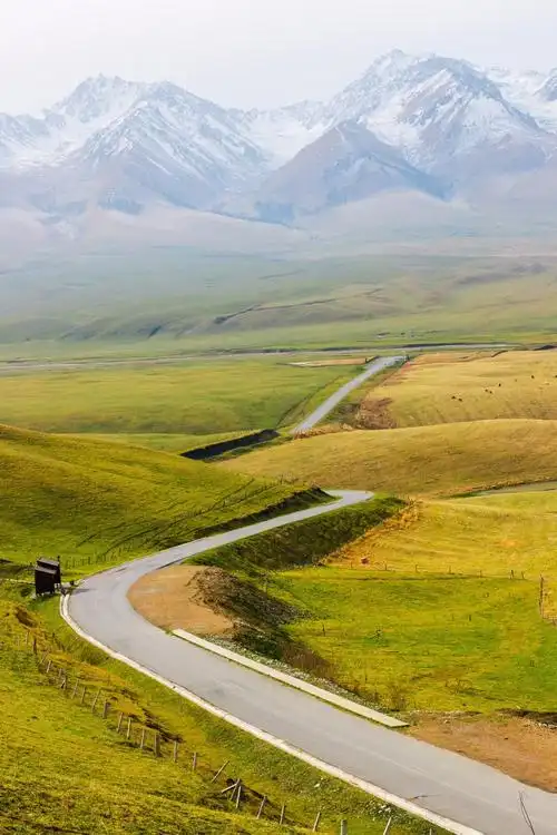 新疆那拉提,雪山云海森林胡杨林……你想要的草原秋色都在