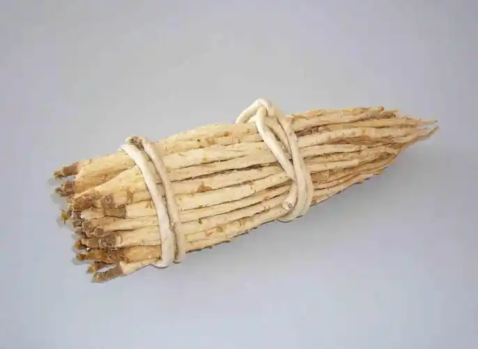 每日中药小知识:北沙参的功效与用法