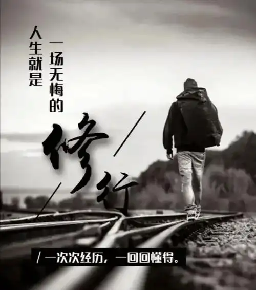 短短一句说透人生