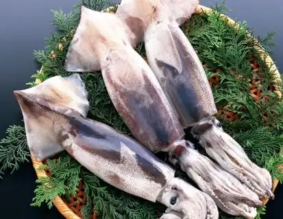 鱿鱼和墨鱼的区别墨鱼和鱿鱼营养价值的区别