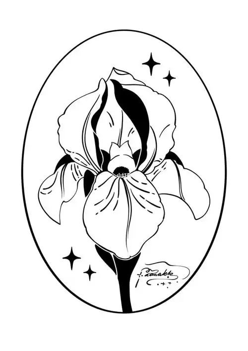 鸢尾花印章稿丨火漆稿丨植物速写