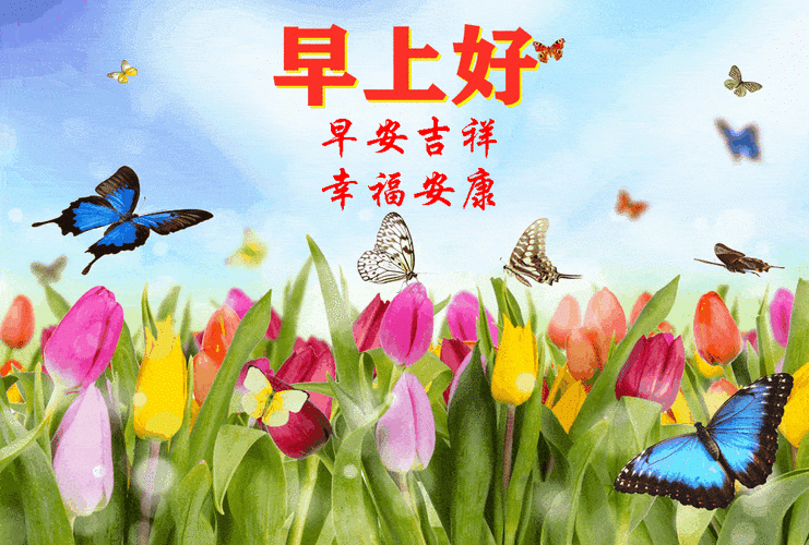 2021年9月9日周四清晨问候暖心祝福语短信星期四最新早安问候语动态