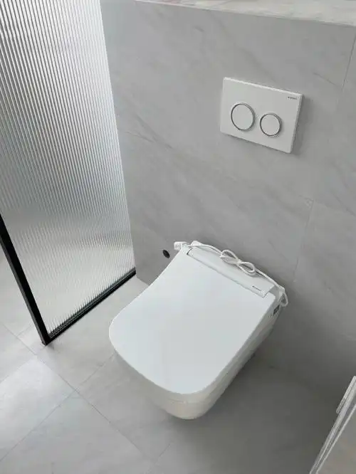 变魔术02自装吉博力壁挂马桶05