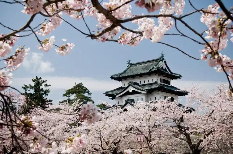 樱季推荐,2019日本全境樱花开花预测